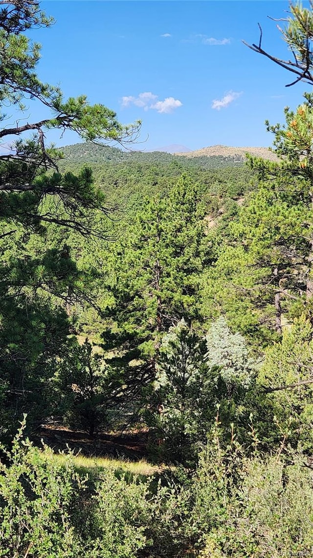 TBDL 43rd Trail, Cotopaxi, CO 81223 - photo 5