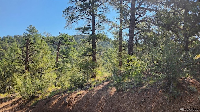 TBDL 43rd Trail, Cotopaxi, CO 81223 - photo 6