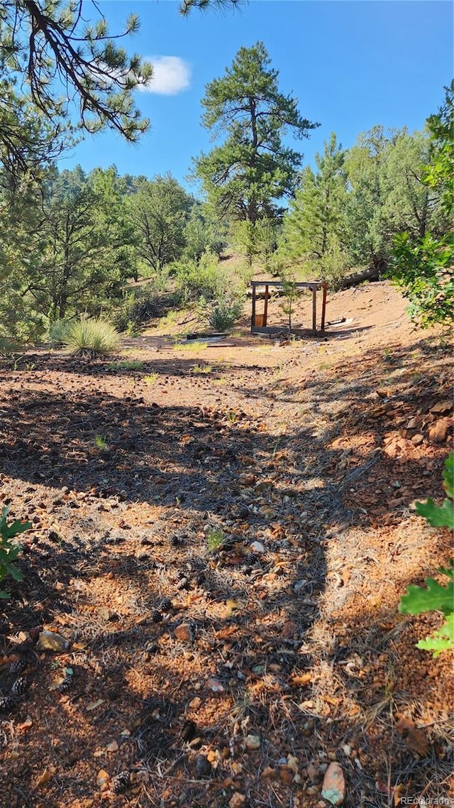 TBDL 43rd Trail, Cotopaxi, CO 81223 - photo 7