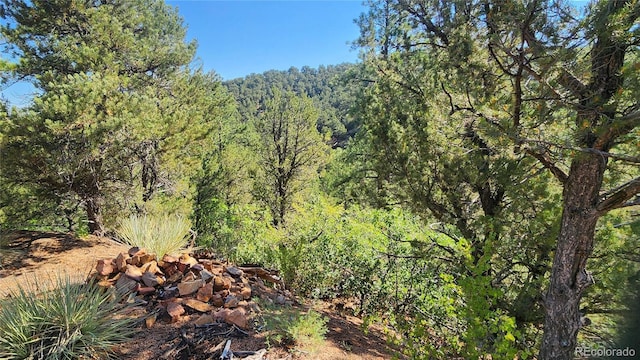 TBDL 43rd Trail, Cotopaxi, CO 81223 - photo 8