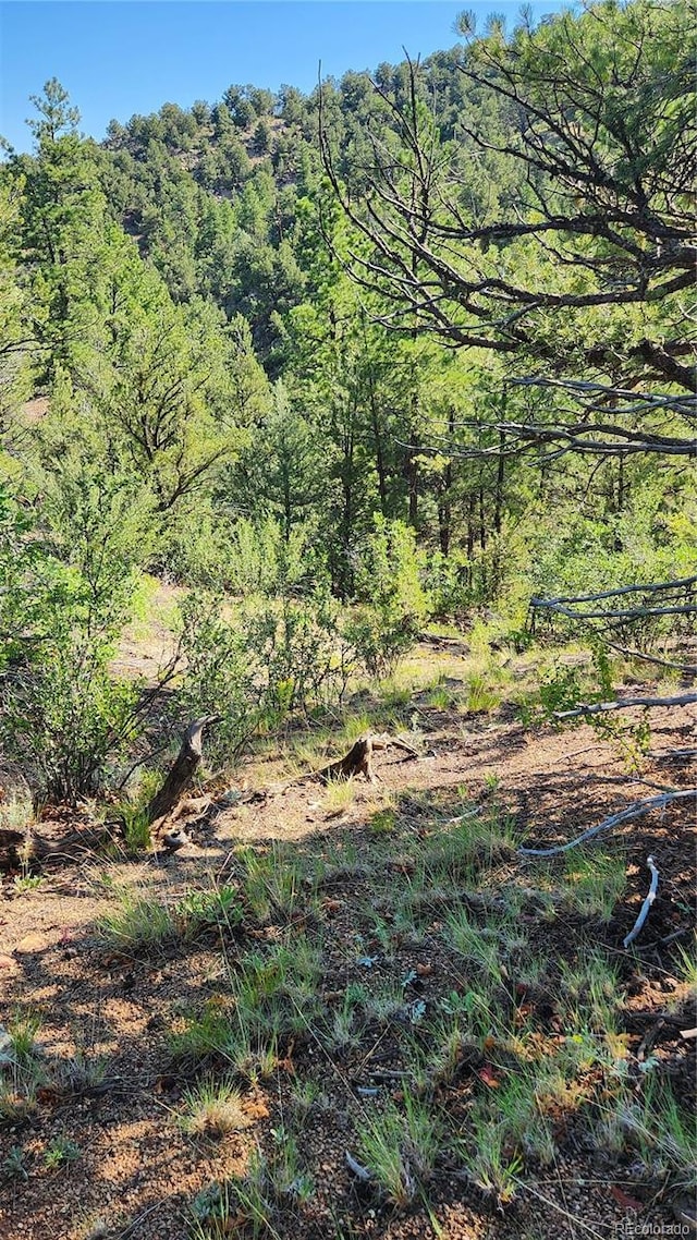 TBDL 43rd Trail, Cotopaxi, CO 81223 - photo 9