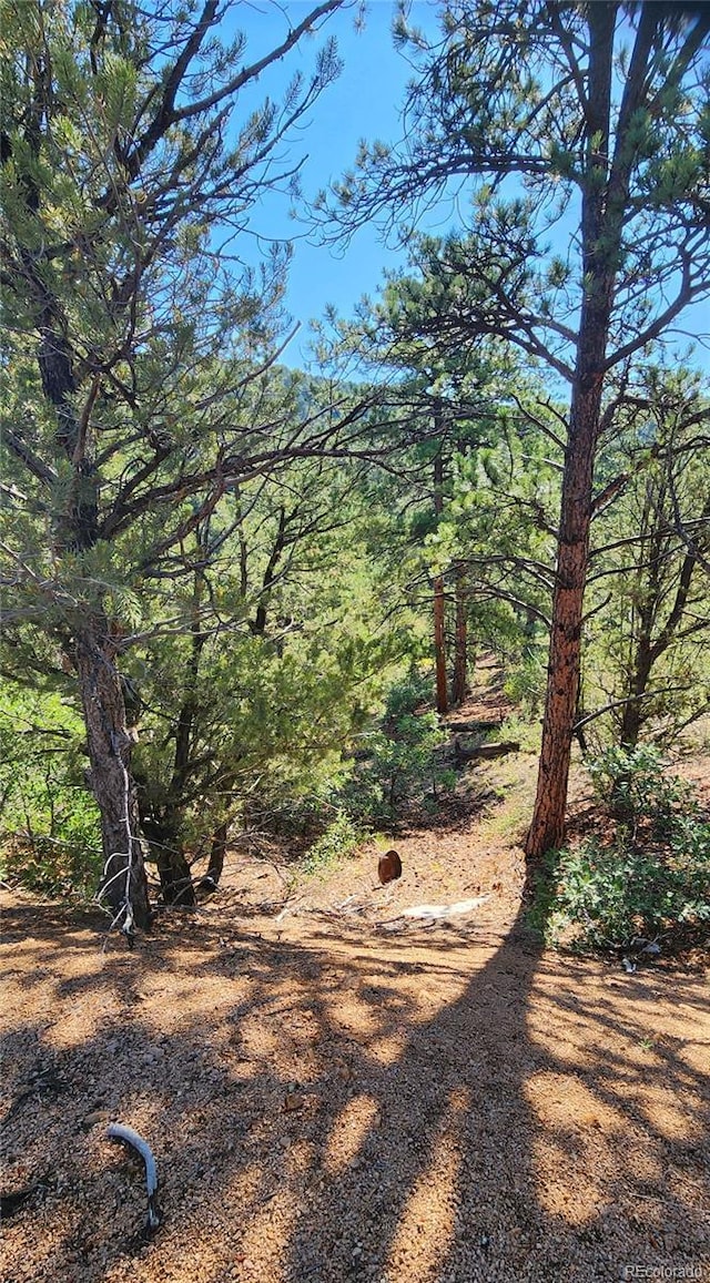 TBDL 43rd Trail, Cotopaxi, CO 81223 - photo 10