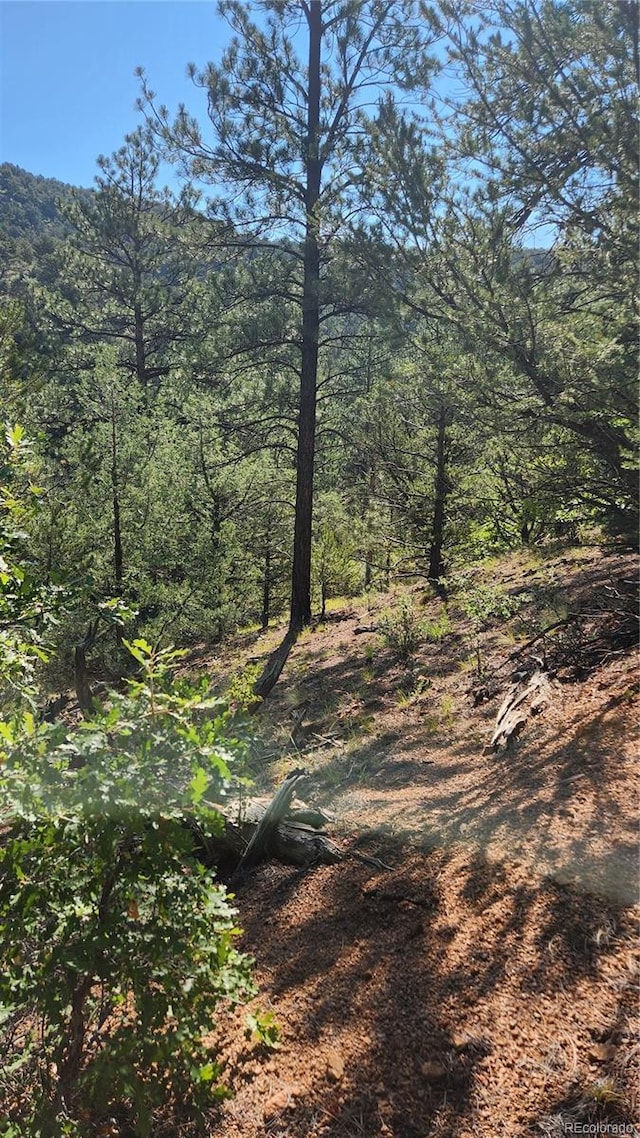 TBDL 43rd Trail, Cotopaxi, CO 81223 - photo 12