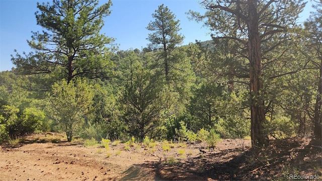 TBDL 43rd Trail, Cotopaxi, CO 81223 - photo 13