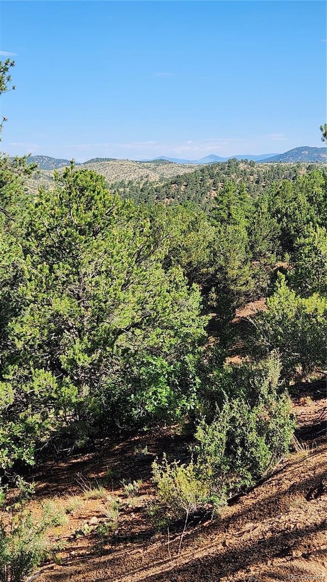 TBDL 43rd Trail, Cotopaxi, CO 81223 - photo 14