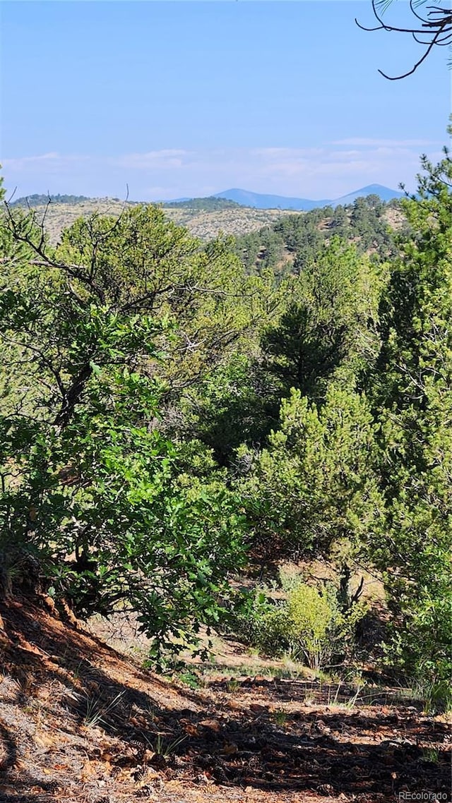 TBDL 43rd Trail, Cotopaxi, CO 81223 - photo 15