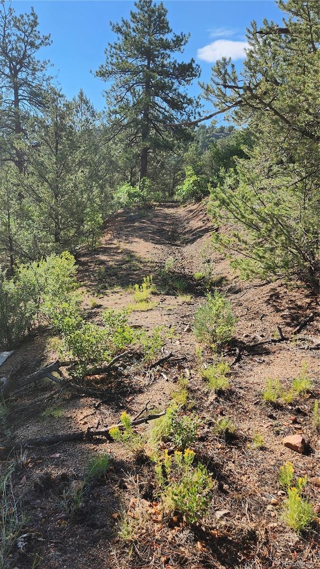 TBDL 43rd Trail, Cotopaxi, CO 81223 - photo 16