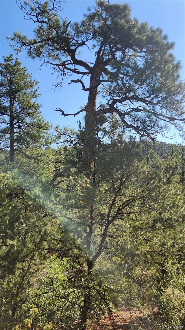 TBDL 43rd Trail, Cotopaxi, CO 81223 - photo 17