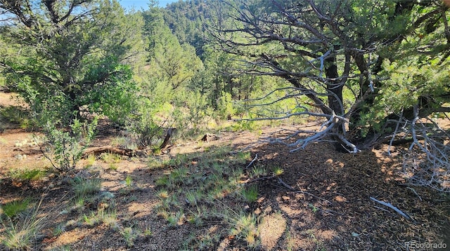 TBDL 43rd Trail, Cotopaxi, CO 81223 - photo 18