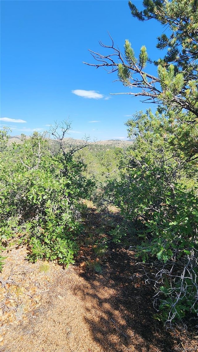 TBDL 43rd Trail, Cotopaxi, CO 81223 - photo 19