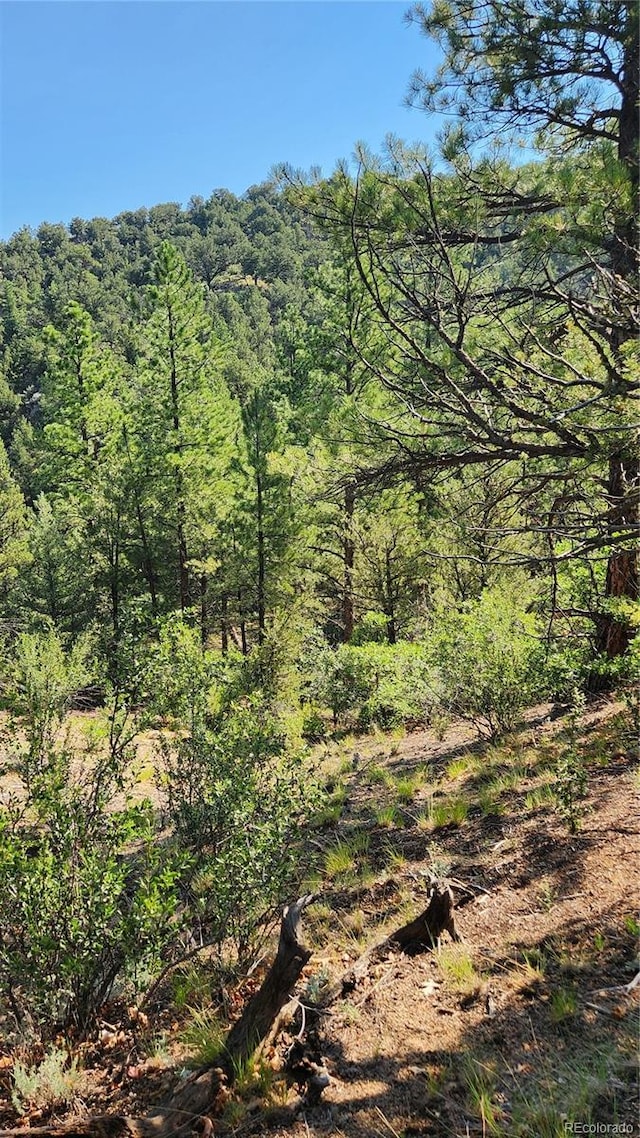 TBDL 43rd Trail, Cotopaxi, CO 81223 - photo 21