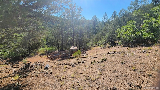 TBDL 43rd Trail, Cotopaxi, CO 81223 - photo 22