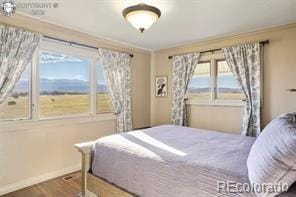6100 Waterbarrel Rd, Beulah, CO 81023 - bedroom featuring wood finished floors, baseboards, and crown molding