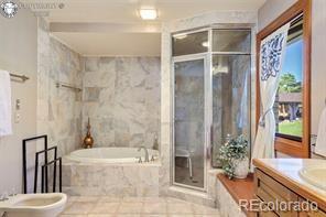 6100 Waterbarrel Rd, Beulah, CO 81023 - full bath featuring a bidet, a shower stall, a bath, vanity, and tile patterned flooring