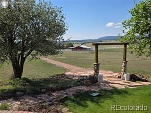 6100 Waterbarrel Rd, Beulah, CO 81023 - view of grassy yard