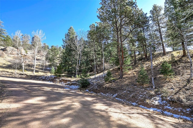 186 Alpine Dr, Cripple Creek, CO 80813 - photo 4