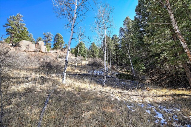 186 Alpine Dr, Cripple Creek, CO 80813 - photo 5