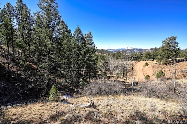 186 Alpine Dr, Cripple Creek, CO 80813 - photo 6