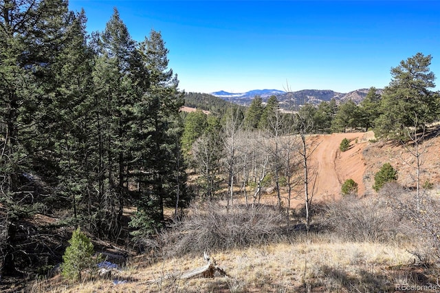186 Alpine Dr, Cripple Creek, CO 80813 - photo 7