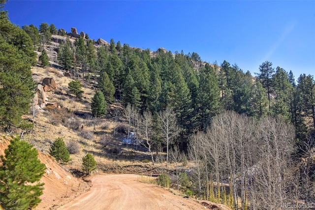 186 Alpine Dr, Cripple Creek, CO 80813 - photo 8