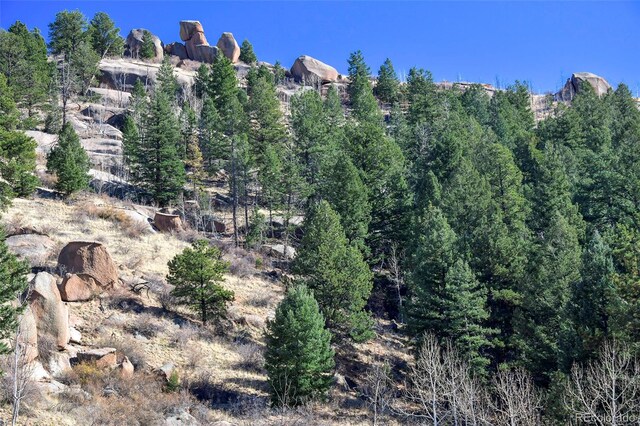 186 Alpine Dr, Cripple Creek, CO 80813 - photo 9