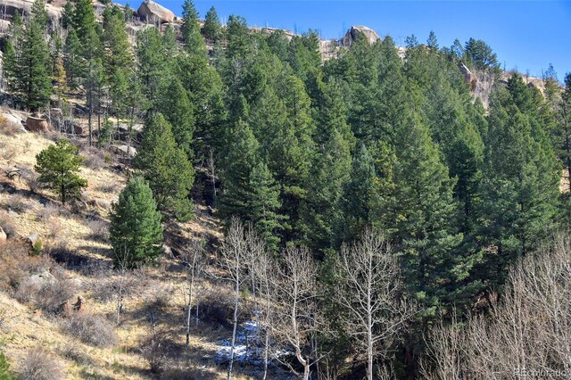 186 Alpine Dr, Cripple Creek, CO 80813 - photo 10