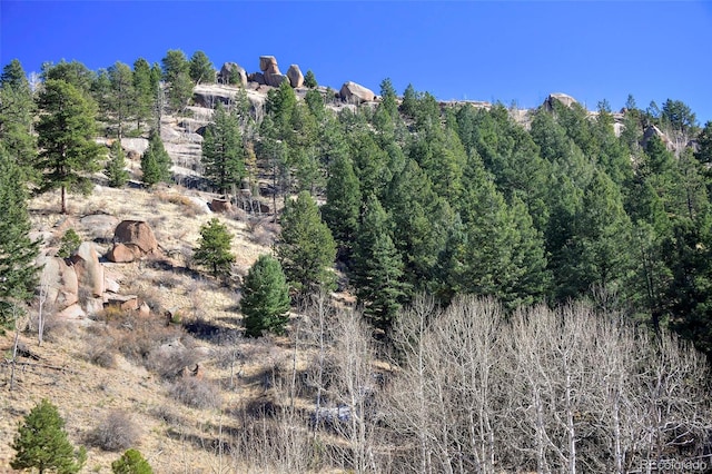 186 Alpine Dr, Cripple Creek, CO 80813 - photo 11