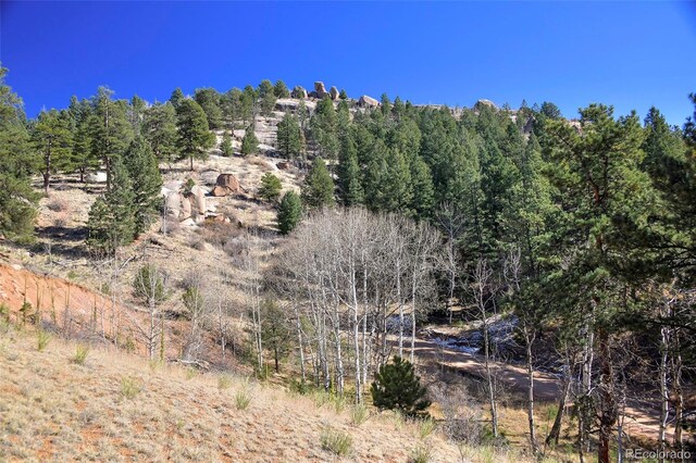 186 Alpine Dr, Cripple Creek, CO 80813 - photo 12