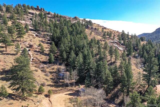 186 Alpine Dr, Cripple Creek, CO 80813 - photo 13