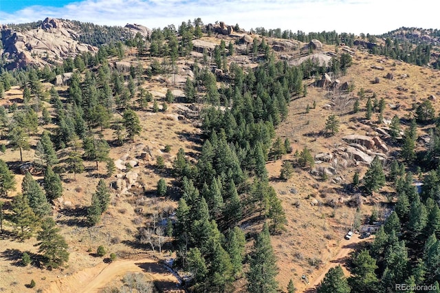 186 Alpine Dr, Cripple Creek, CO 80813 - photo 16