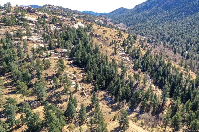 186 Alpine Dr, Cripple Creek, CO 80813 - photo 19