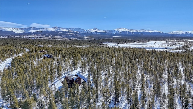 view of mountain feature with a wooded view