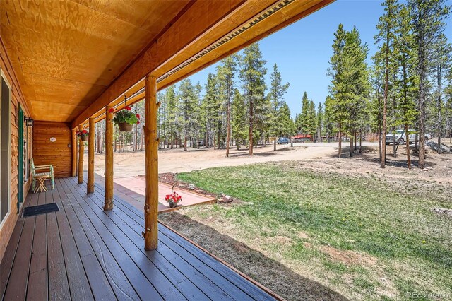 338 Baby Doe Dr, Leadville, CO 80461 - photo 3