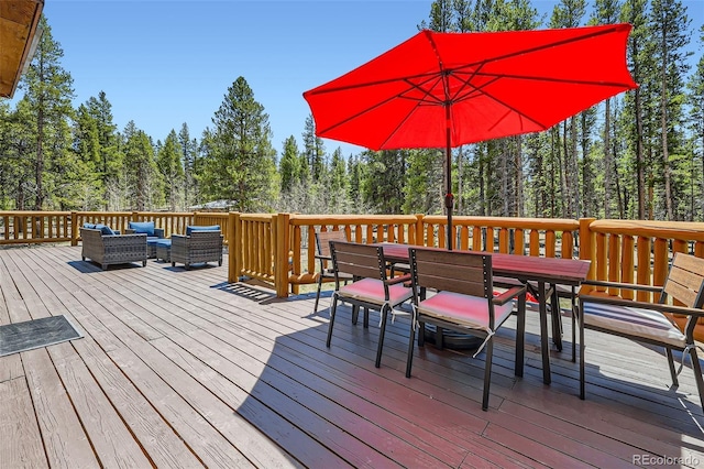 338 Baby Doe Dr, Leadville, CO 80461 - photo 6