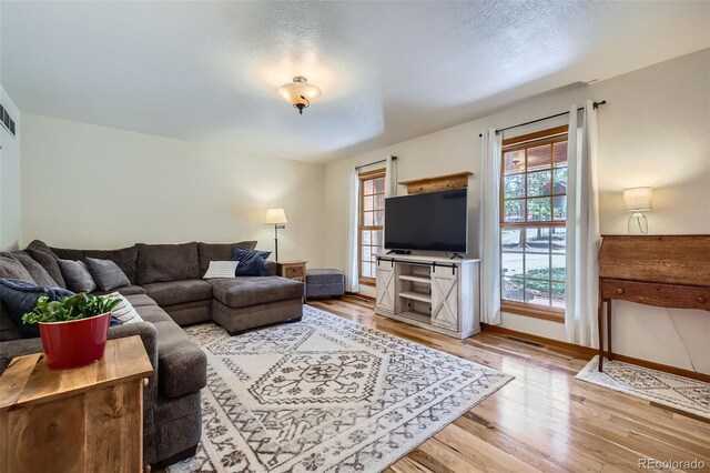 338 Baby Doe Dr, Leadville, CO 80461 - photo 9
