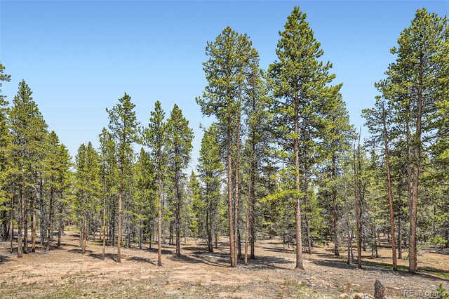 338 Baby Doe Dr, Leadville, CO 80461 - photo 28