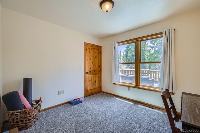 338 Baby Doe Dr, Leadville, CO 80461 - photo 20