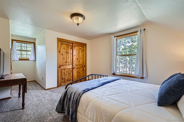 338 Baby Doe Dr, Leadville, CO 80461 - photo 22