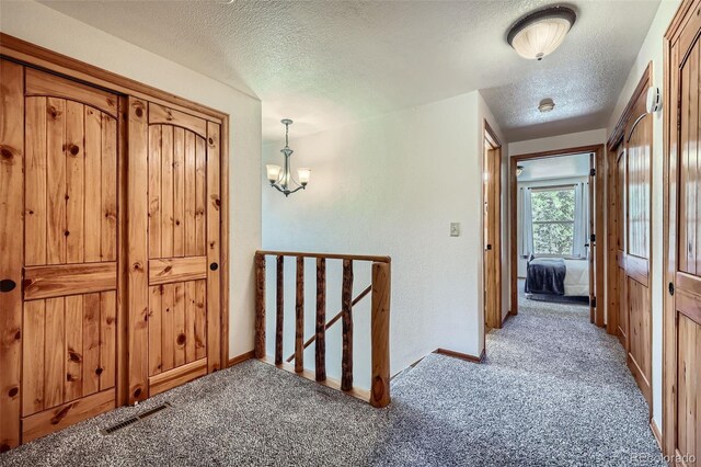 338 Baby Doe Dr, Leadville, CO 80461 - photo 24