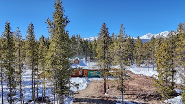 338 Baby Doe Dr, Leadville, CO 80461 - photo 33