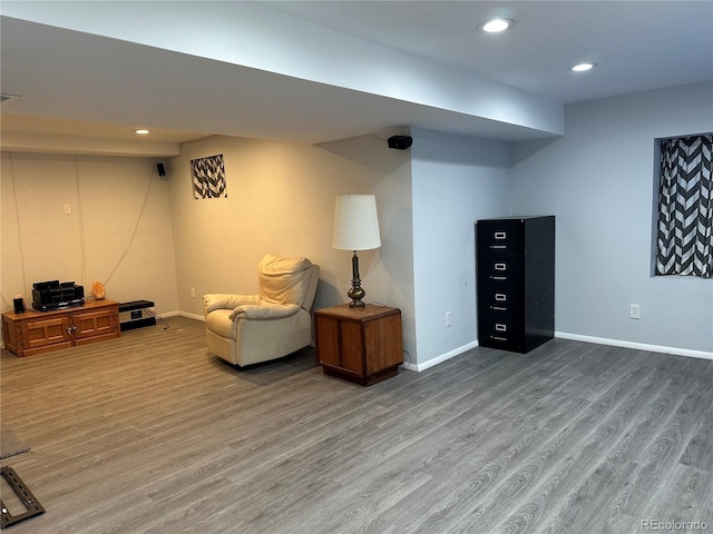 living area featuring hardwood / wood-style flooring