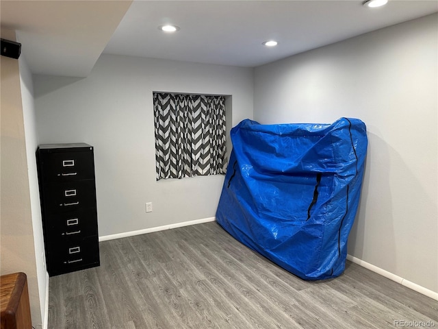 interior space with wood-type flooring