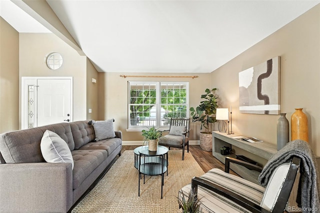 4253 Lark Sparrow St, Highlands Ranch, CO 80126 - living area featuring wood finished floors and lofted ceiling