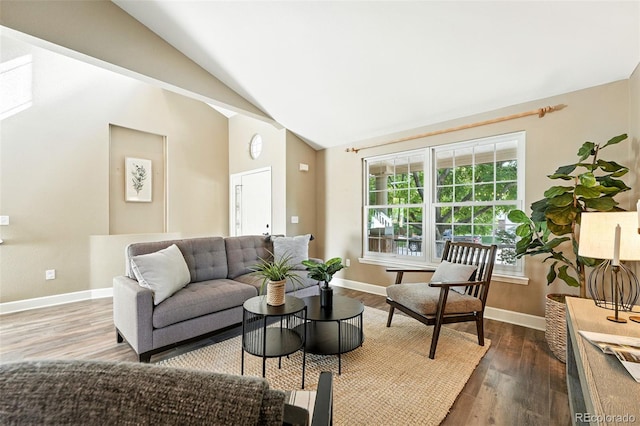 4253 Lark Sparrow St, Highlands Ranch, CO 80126 - living room featuring wood finished floors and high vaulted ceiling