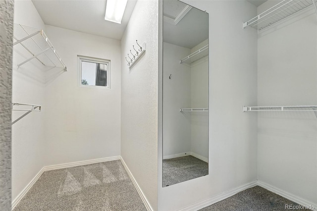 4253 Lark Sparrow St, Highlands Ranch, CO 80126 - walk in closet featuring carpet floors