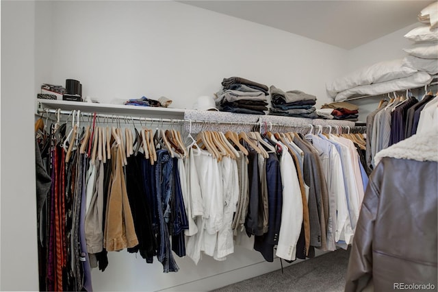 spacious closet with carpet