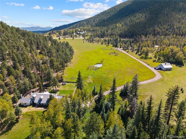 drone / aerial view featuring a mountain view