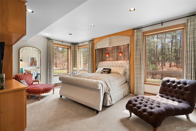 10231 Democrat Rd, Parker, CO 80134 - bedroom featuring light colored carpet, multiple windows, and recessed lighting