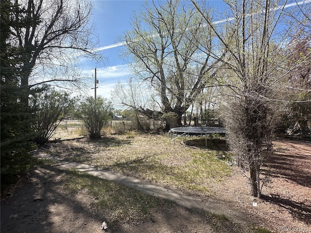1114 La Due Ave, Alamosa, CO 81101 - view of yard featuring a trampoline