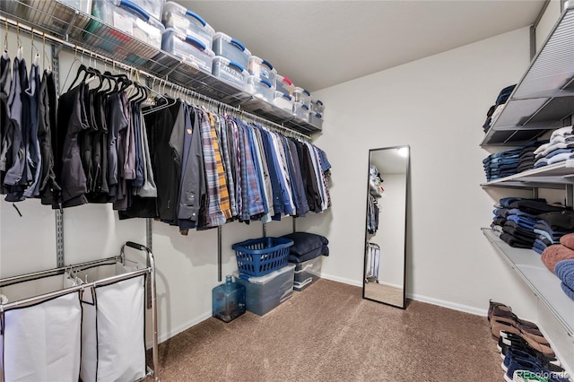 walk in closet featuring carpet floors